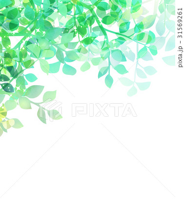 木漏れ日 背景素材 新緑 葉のイラスト素材