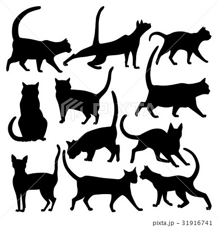 ディズニー画像のすべて 最高横向き 猫 歩く イラスト