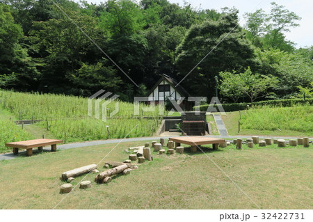 神戸布引ハーブ園 布引ハーブ園 風の丘芝生広場 兵庫県の写真素材 Pixta