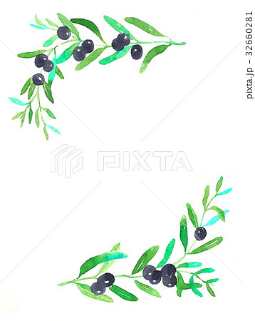 オリーブ フレーム 葉 植物のイラスト素材 Pixta