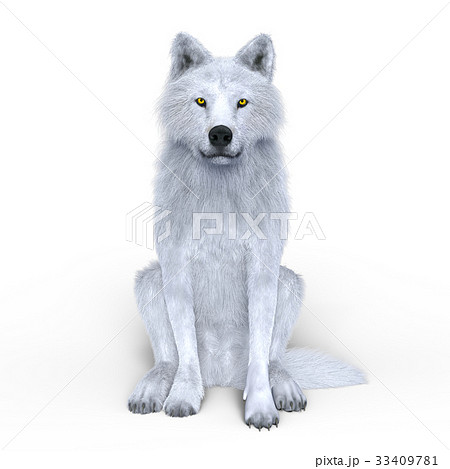 オオカミ 狼 のイラスト素材集 Pixta ピクスタ
