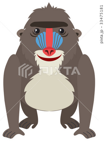 小径 面白い さる サルのイラスト素材