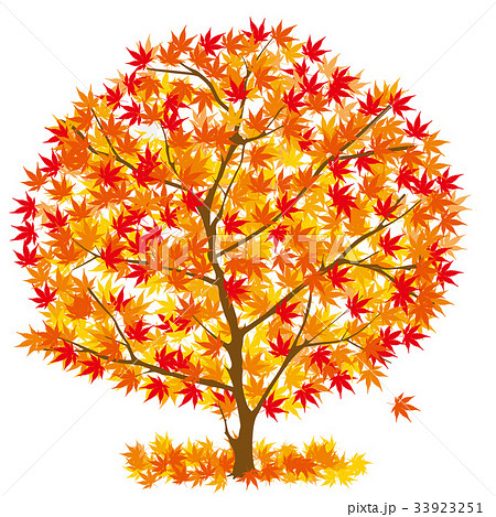 紅葉 もみじ 秋 木のイラスト素材