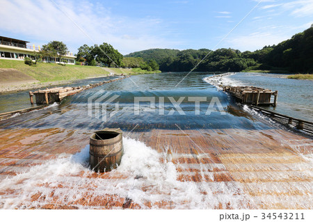 やな 大瀬観光やな 茂木町 観光やなの写真素材