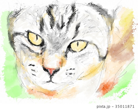猫 イラスト スケッチ ペン画のイラスト素材