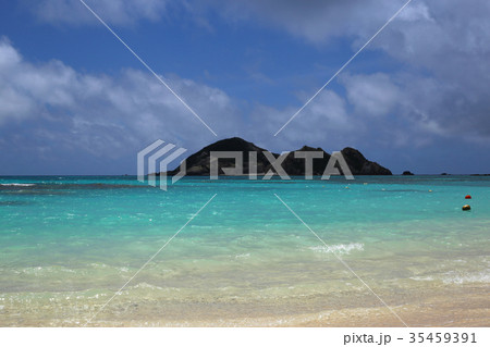 シブがき島 島 しぶがき島 シブガキ島の写真素材