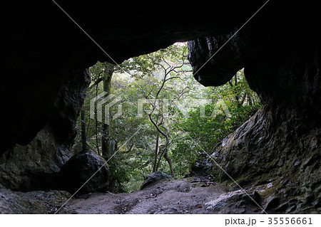 洞窟 洞穴 森林 森の写真素材