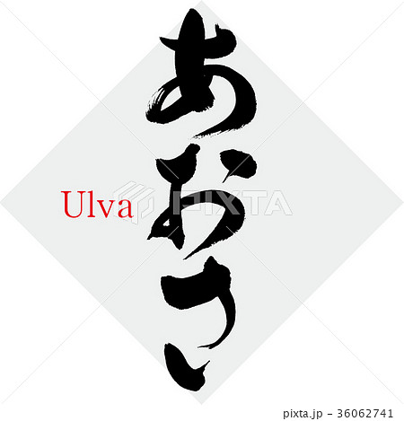 あおさ アオサ 石蓴 筆文字 手書き のイラスト素材