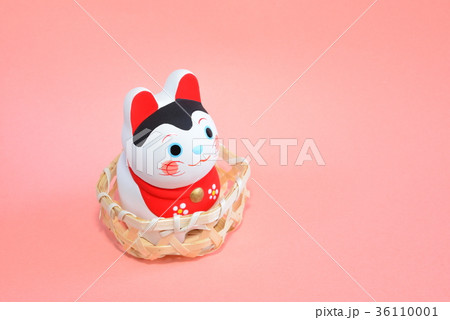 ざるかぶり犬の写真素材