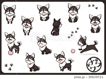 チワワ 犬 戌年 動物のイラスト素材