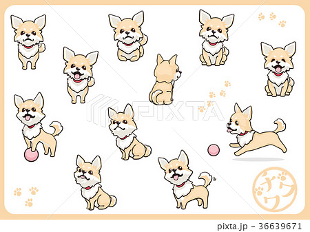 チワワ 犬 戌年 動物のイラスト素材