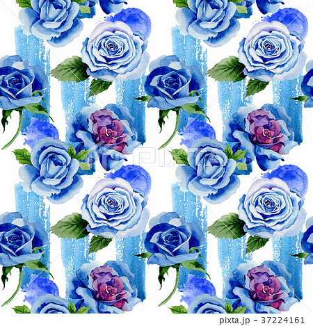 青いバラのイラスト素材