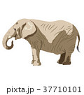 シンプルでかわいい手書きの象さんのイラストのイラスト素材