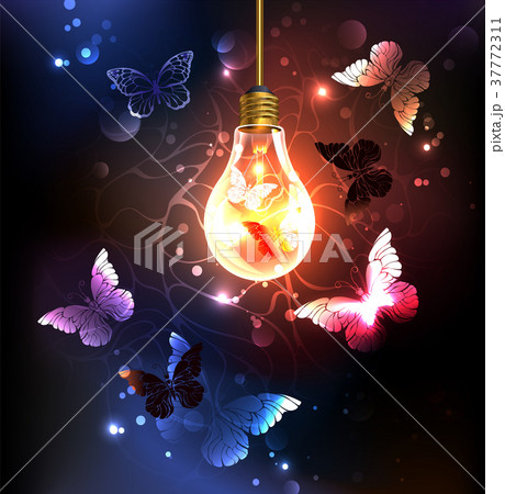 蝴蝶 蝶 幻想的な 魔法のイラスト素材