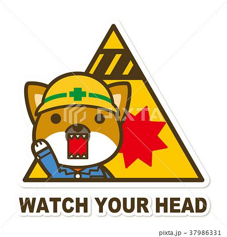 犬 柴犬 仕事 工事中のイラスト素材