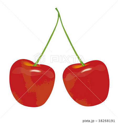 さくらんぼ 水墨画 果物 果実のイラスト素材 - PIXTA