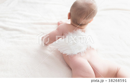 赤ちゃん 天使の羽 後ろ姿 乳児の写真素材