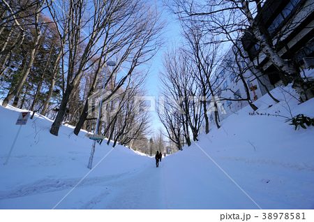 陽だまりロードの写真素材