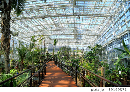 植物園 温室の写真素材