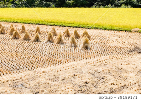 稲刈り後の写真素材 - PIXTA