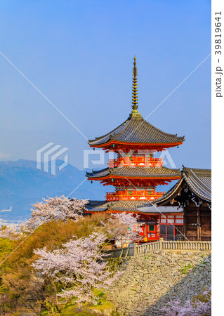 清水寺 寺院 春 三重塔の写真素材