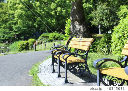 新緑 公園 日比谷公園 ベンチの写真素材