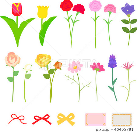 リンドウ 花 竜胆 りんどうのイラスト素材