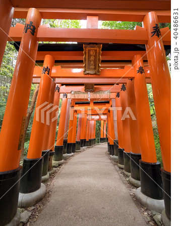 社寺 神社仏閣 和風 イラストの写真素材