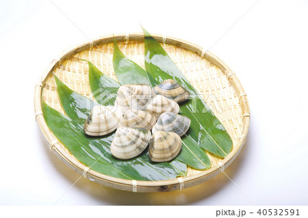 小玉貝
