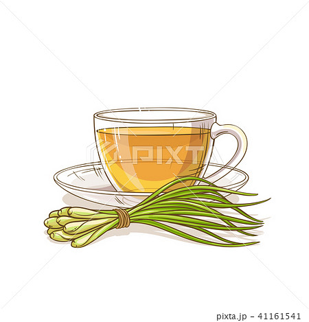 レモングラスのイラスト素材