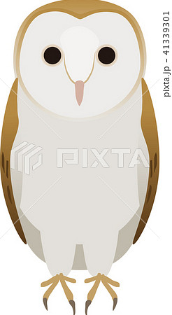 メンフクロウのイラスト素材 Pixta