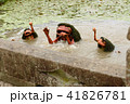河童 妖怪 怖い カッパの写真素材
