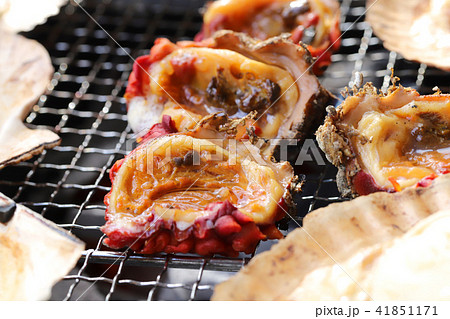 ホヤ 焼きホヤ ホヤ網焼き ホヤ焼きの写真素材