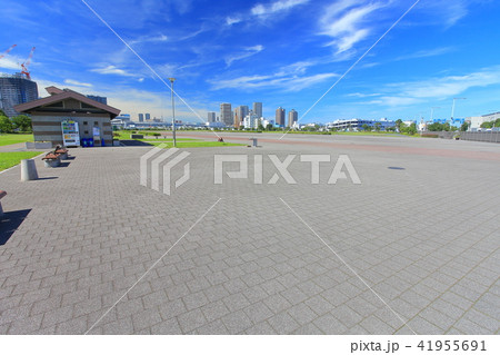 東京臨海広域防災公園 多目的広場 都立公園 公園の写真素材
