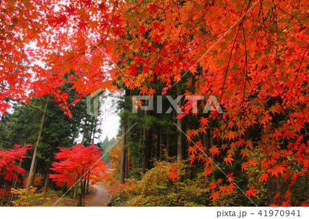 寂地峡五竜の滝の写真素材