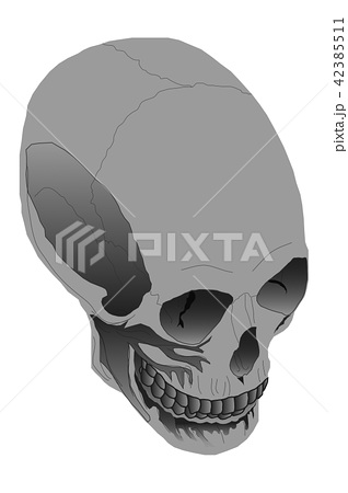 骸骨 ドクロ 髑髏 顔のイラスト素材