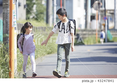 子供 小学生 男女 手つなぎの写真素材