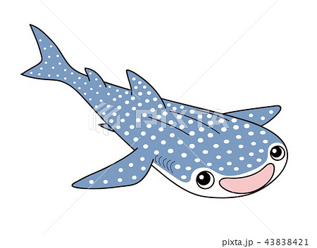 海遊館のイラスト素材集 ピクスタ