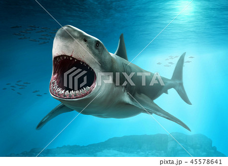 サメ シャーク 鮫 口のイラスト素材 Pixta