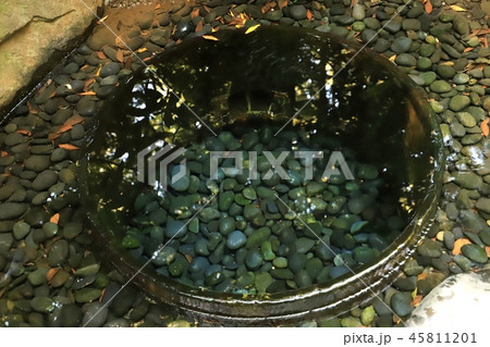 井戸 パワースポット 清正 明治神宮の写真素材