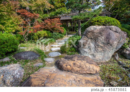 庭 庭園 日本庭園 敷石 石 日本 植物の写真素材 - PIXTA