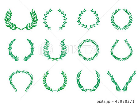 ゲッケイジュのイラスト素材