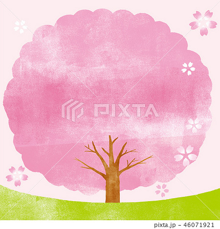 桜 花 木 春のイラスト素材