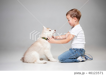 親子 狼 子供の写真素材