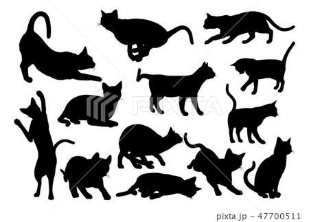 ベクター シルエット 猫 走るの写真素材