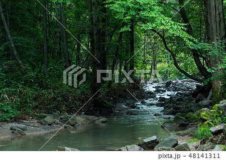 河川 森 川 forestの写真素材 - PIXTA