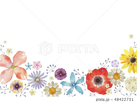 春の花のイラスト素材集 Pixta ピクスタ