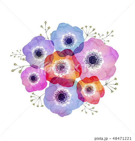 アネモネ 花 花弁 紫のイラスト素材