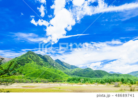 日光 風景 小田代ヶ原 貴婦人の写真素材 - PIXTA