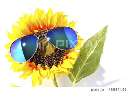 サングラス グラサン 向日葵 サンフラワーの写真素材